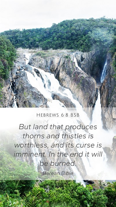 Hebrews 6:8 BSB Bible Verse Image