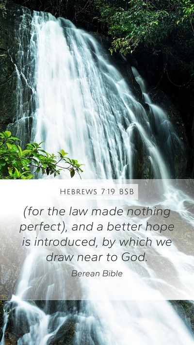 Hebrews 7:19 BSB Bible Verse Image