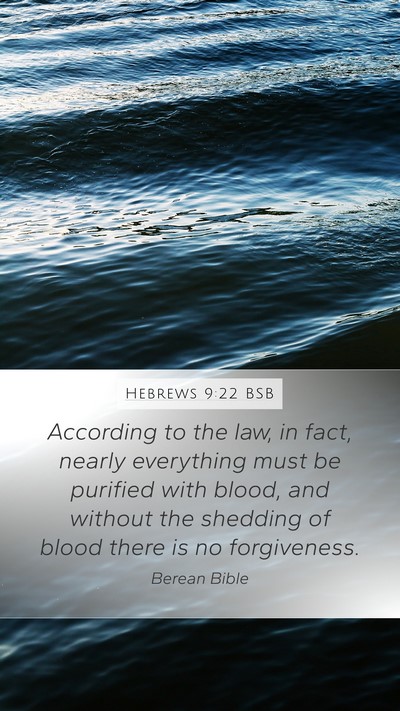 Hebrews 9:22 BSB Bible Verse Image