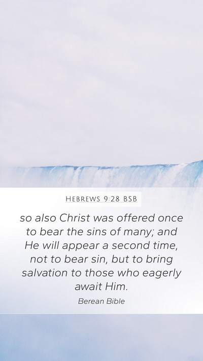 Hebrews 9:28 BSB Bible Verse Image