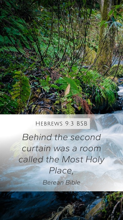 Hebrews 9:3 BSB Bible Verse Image
