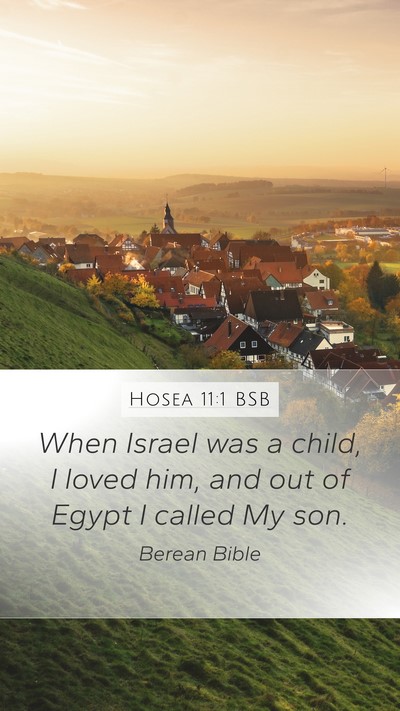Hosea 11:1 BSB Bible Verse Image