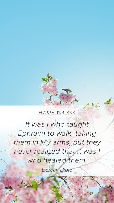 Hosea 11:3 BSB Mobile Phone Wallpaper - It was I who taught Ephraim to walk, taking them - Mobile Bible Verse Wallpaper