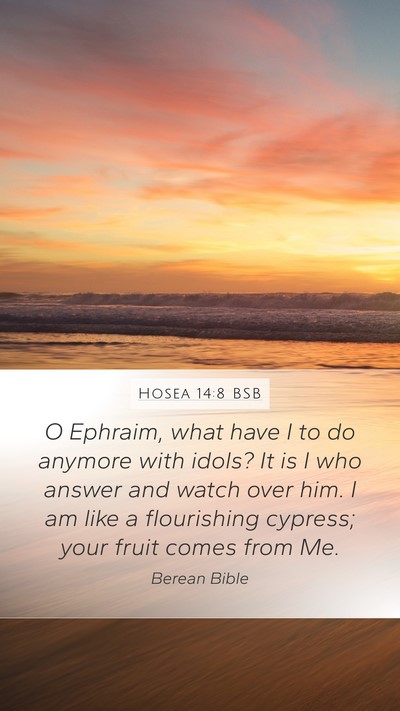 Hosea 14:8 BSB Bible Verse Image