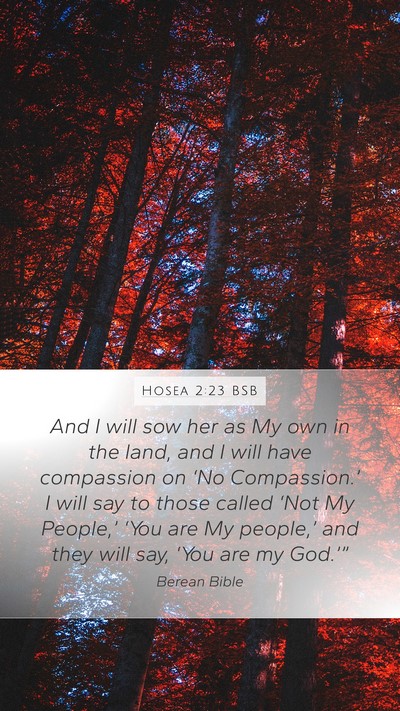 Hosea 2:23 BSB Bible Verse Image