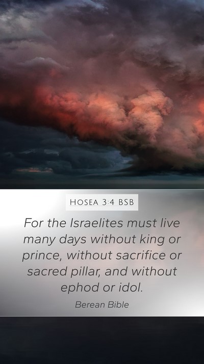 Hosea 3:4 BSB Bible Verse Image