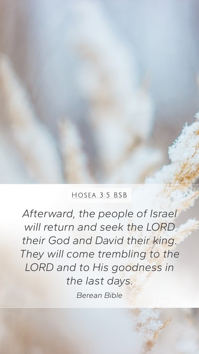 Hosea 3:5 BSB Bible Verse Image