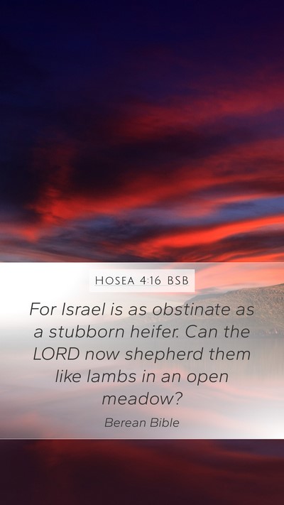 Hosea 4:16 BSB Bible Verse Image