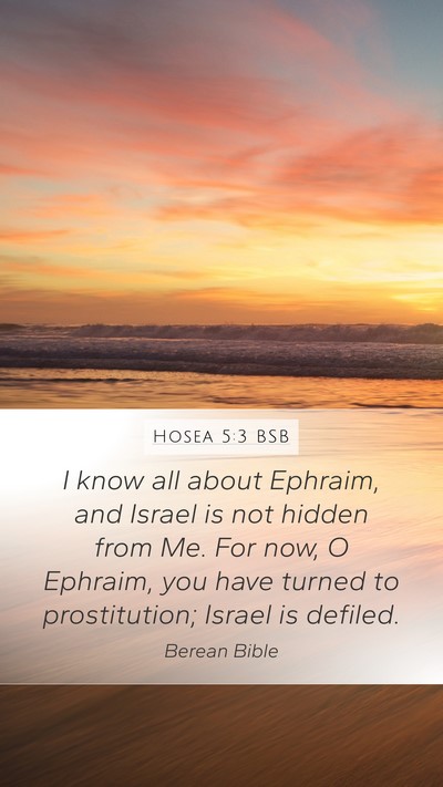Hosea 5:3 BSB Bible Verse Image