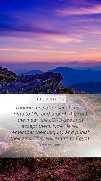 Hosea 8:13 BSB Bible Verse Image