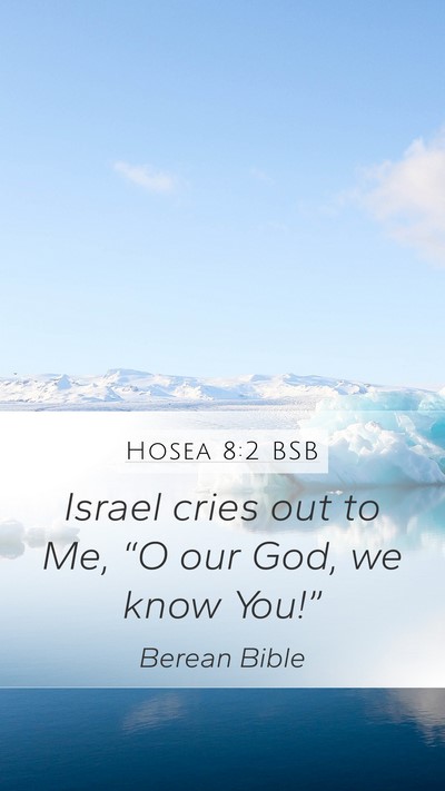 Hosea 8:2 BSB Mobile Phone Wallpaper - Israel cries out to Me, “O our God, we know - Mobile Bible Verse Wallpaper
