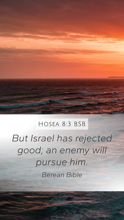 Hosea 8:3 BSB Mobile Phone Wallpaper - But Israel has rejected good; an enemy will - Mobile Bible Verse Wallpaper