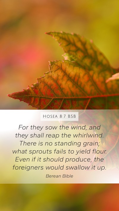 Hosea 8:7 BSB Bible Verse Image