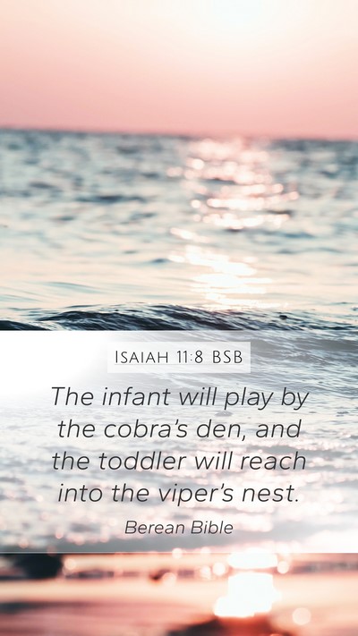 Isaiah 11:8 BSB Bible Verse Image