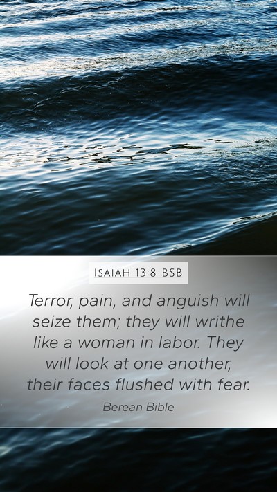 Isaiah 13:8 BSB Bible Verse Image