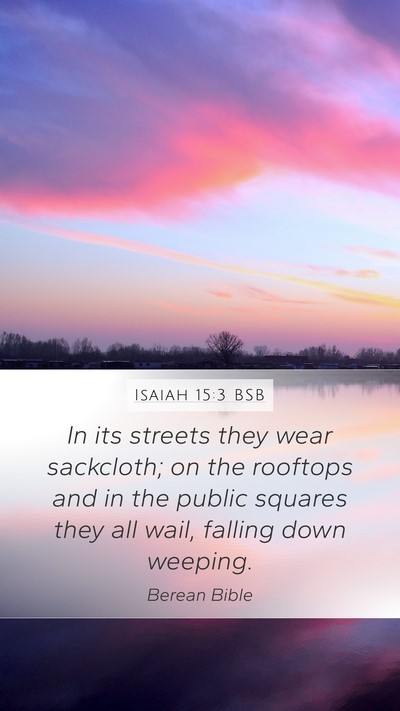 Isaiah 15:3 BSB Bible Verse Image
