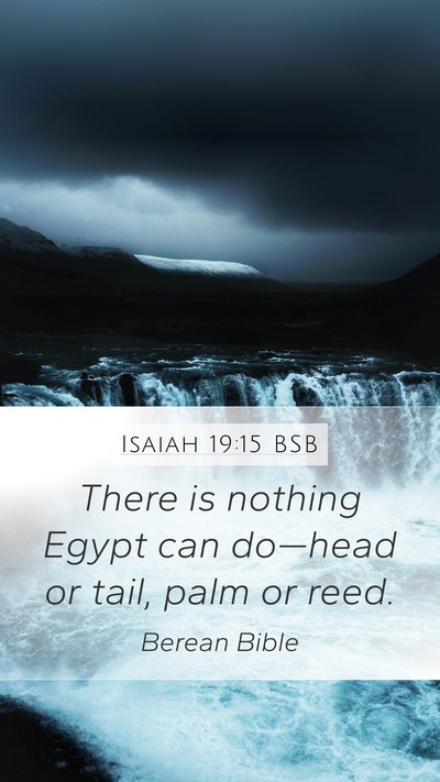 Isaiah 19:15 BSB Bible Verse Image