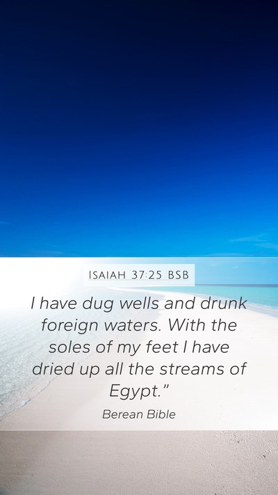 Isaiah 37:25 BSB Bible Verse Image