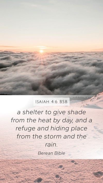 Isaiah 4:6 BSB Bible Verse Image