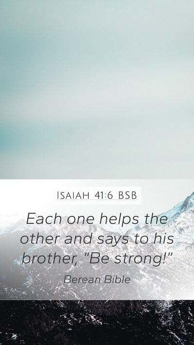 Isaiah 41:6 BSB Bible Verse Image