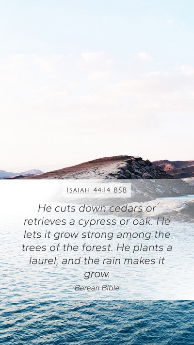 Isaiah 44:14 BSB Bible Verse Image