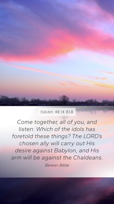 Isaiah 48:14 BSB Bible Verse Image