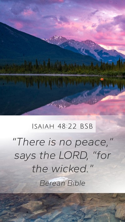 Isaiah 48:22 BSB Bible Verse Image