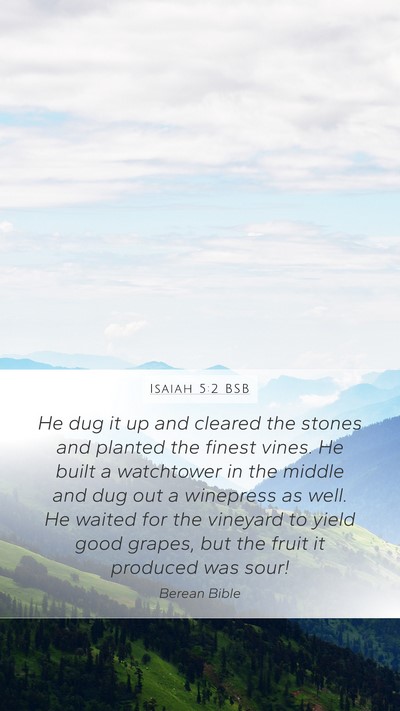 Isaiah 5:2 BSB Bible Verse Image