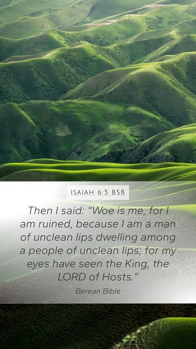 Isaiah 6:5 BSB Bible Verse Image