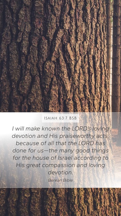 Isaiah 63:7 BSB Bible Verse Image