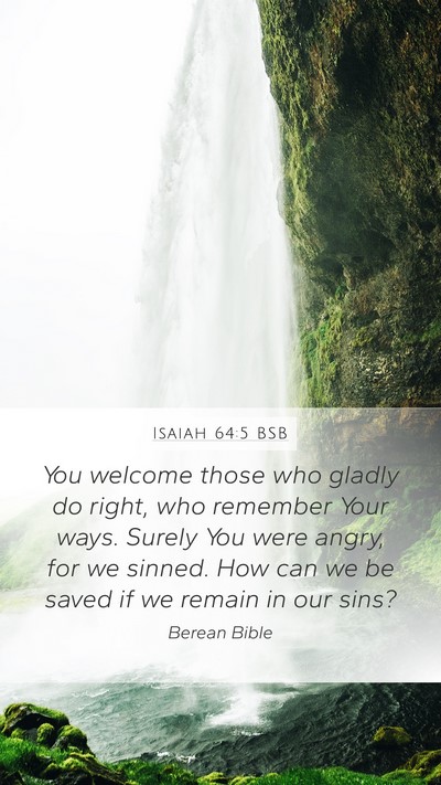Isaiah 64:5 BSB Bible Verse Image