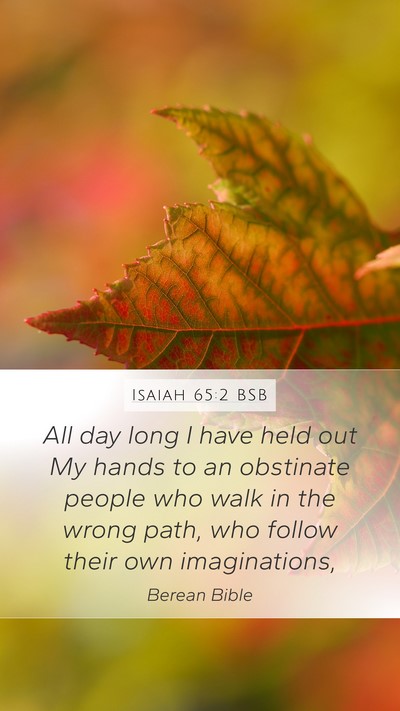 Isaiah 65:2 BSB Bible Verse Image