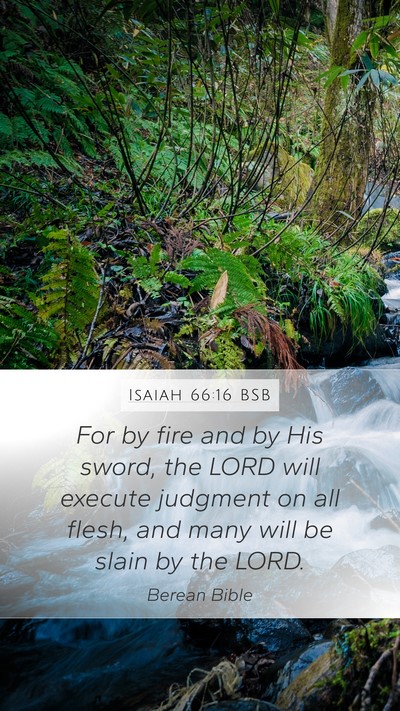 Isaiah 66:16 BSB Bible Verse Image