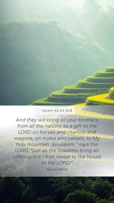 Isaiah 66:20 BSB Bible Verse Image