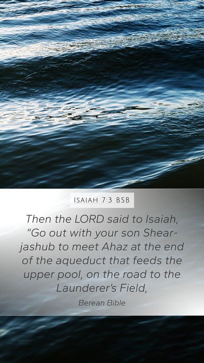 Isaiah 7:3 BSB Bible Verse Image