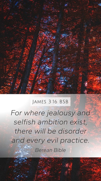James 3:16 BSB Bible Verse Image