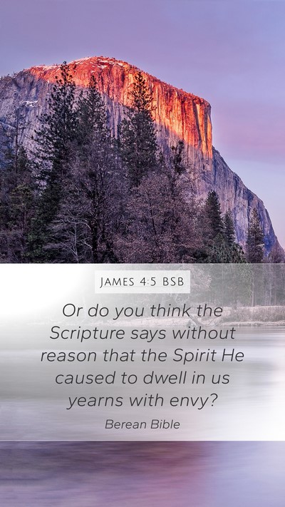 James 4:5 BSB Bible Verse Image