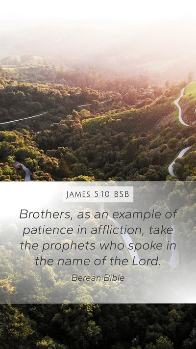 James 5:10 BSB Bible Verse Image