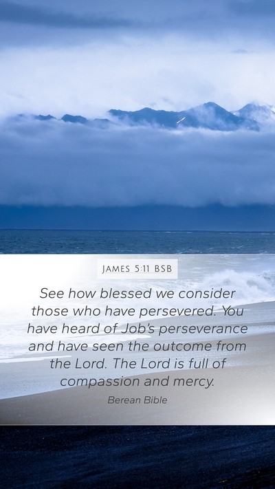 James 5:11 BSB Bible Verse Image