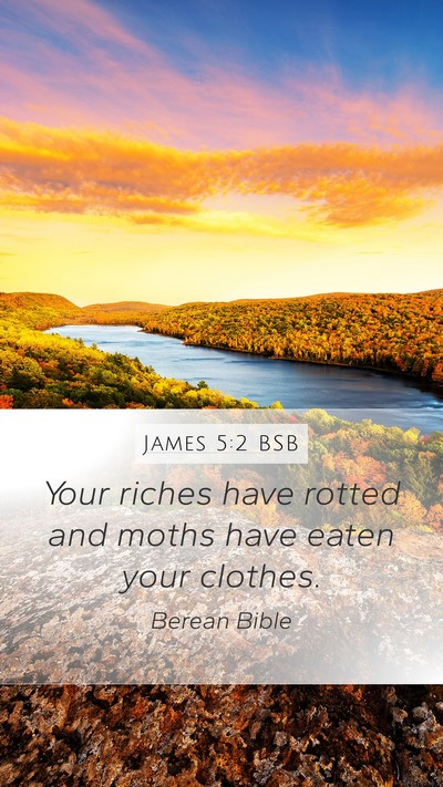 James 5:2 BSB Bible Verse Image