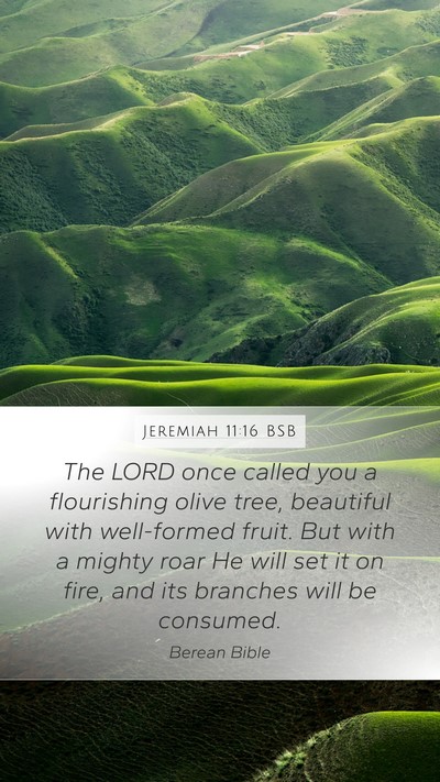Jeremiah 11:16 BSB Bible Verse Image