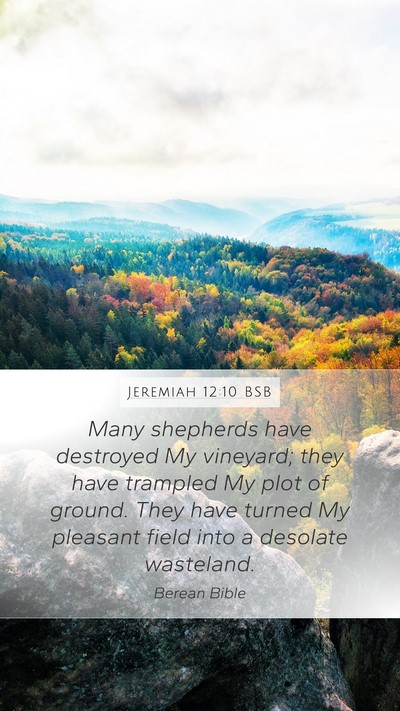 Jeremiah 12:10 BSB Bible Verse Image