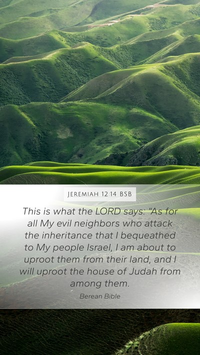 Jeremiah 12:14 BSB Bible Verse Image