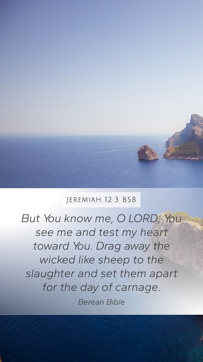 Jeremiah 12:3 BSB Bible Verse Image