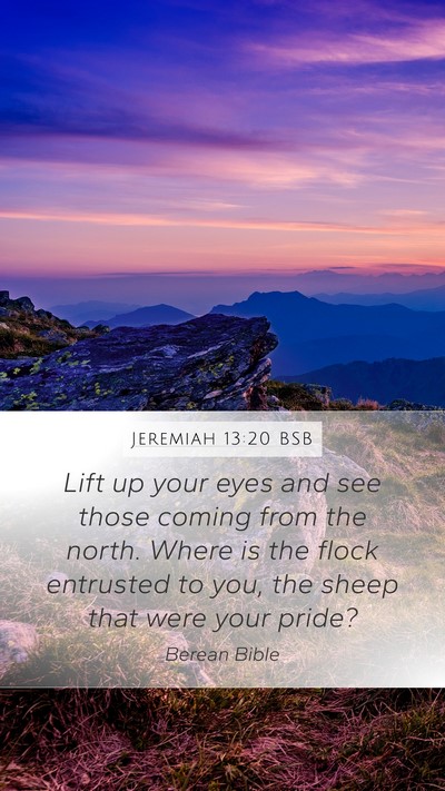 Jeremiah 13:20 BSB Bible Verse Image
