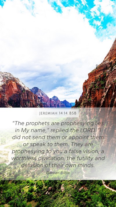 Jeremiah 14:14 BSB Bible Verse Image