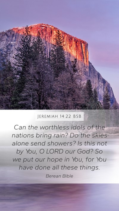Jeremiah 14:22 BSB Bible Verse Image