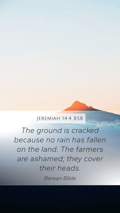 Jeremiah 14:4 BSB Bible Verse Image