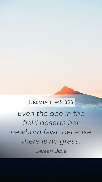 Jeremiah 14:5 BSB Bible Verse Image