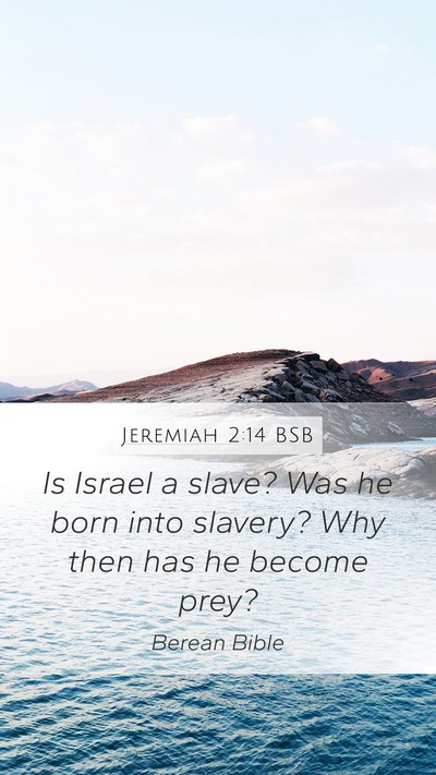 Jeremiah 2:14 BSB Mobile Phone Wallpaper - Is Israel a slave? Was he born into slavery? Why - Mobile Bible Verse Wallpaper